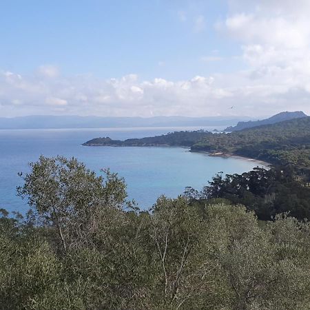 Porquerolles - Nuit Insolite A Bord Du Defi Fou Zewnętrze zdjęcie