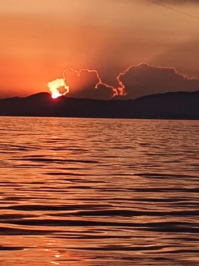Porquerolles - Nuit Insolite A Bord Du Defi Fou Zewnętrze zdjęcie