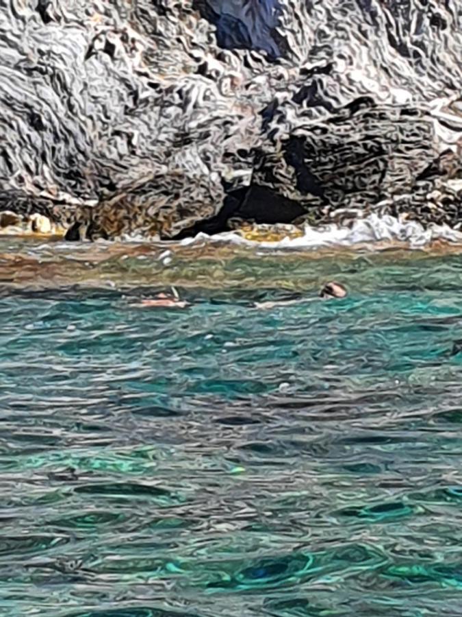 Porquerolles - Nuit Insolite A Bord Du Defi Fou Zewnętrze zdjęcie